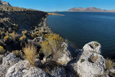 the deep blue water of pyramid lake under light blue sky, with scrabbly pale rock and yellow-brown-green brush along the shoreline