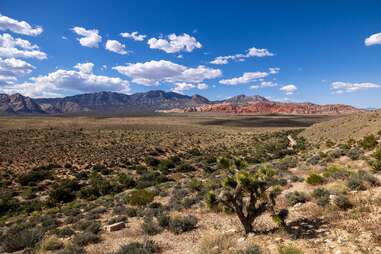 A shrub-filled valley spreads out beneath a cloud-dotted sky, with colorful mountains beyond.