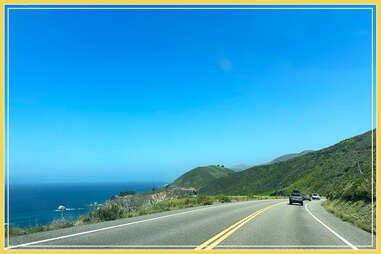 big trees along a walking path in pfeiffer big sur state park
